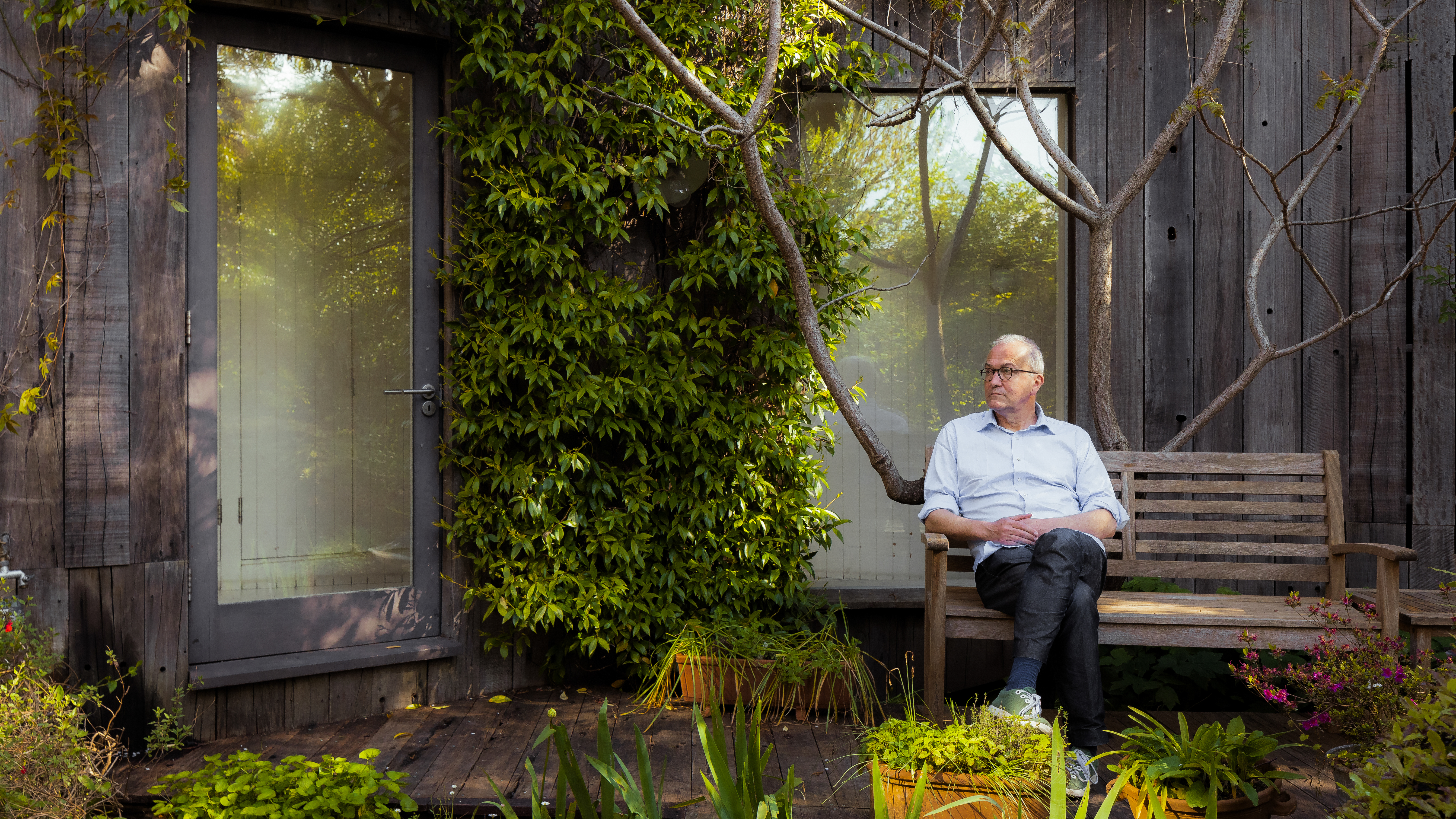 The Treehouse