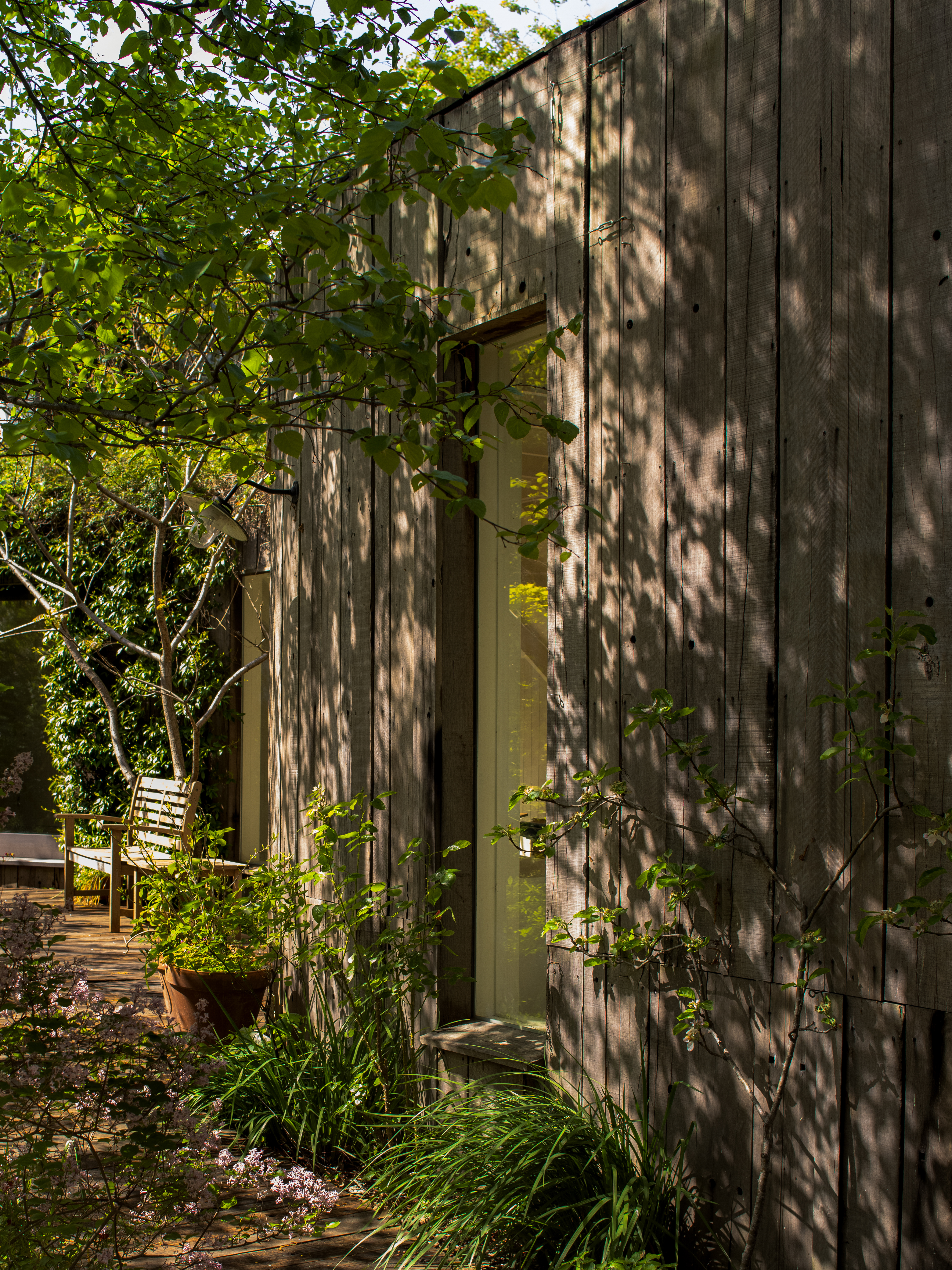 Timber exterior and planting in dappled light